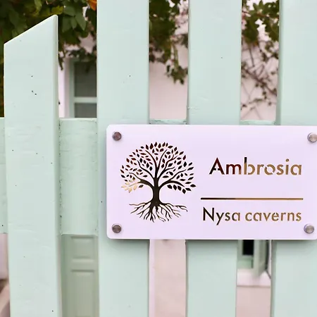 Ambrosia Cave With Seaview & Private Pool Willa